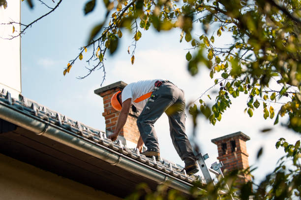 Residential Roof Replacement in Bolinas, CA